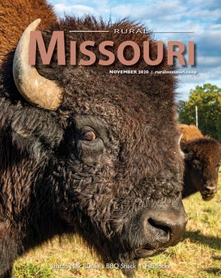 rural-missouri-11-2020