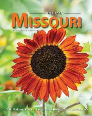 rural-missouri-3-2021