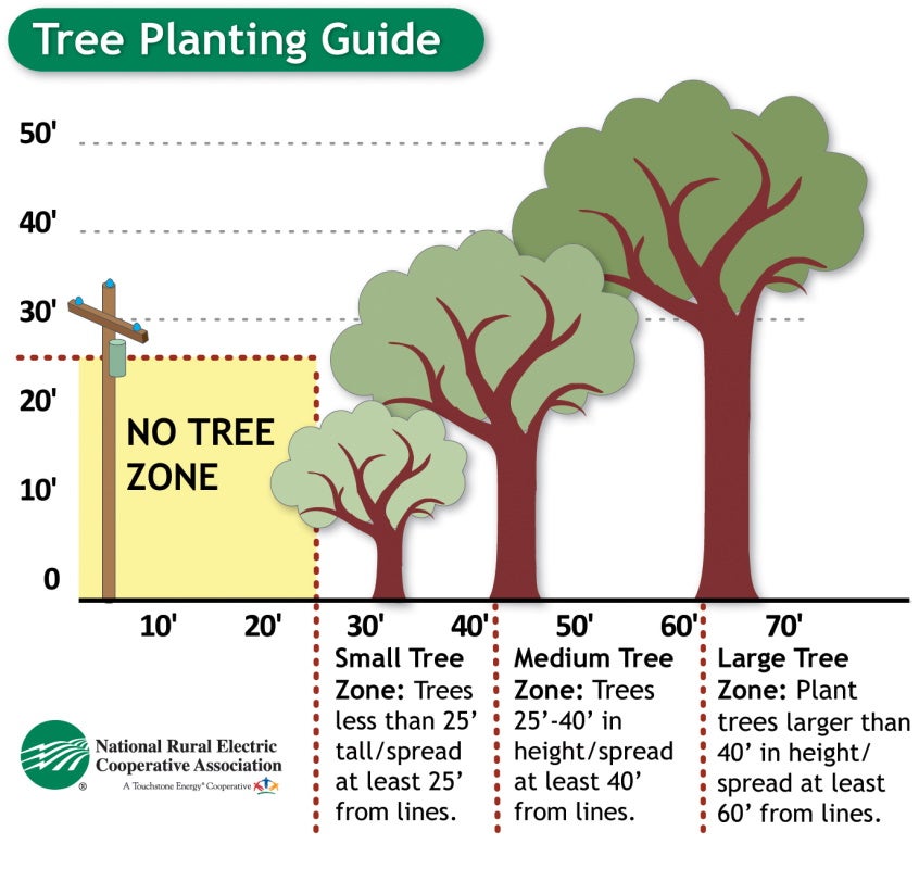 Tree Zones