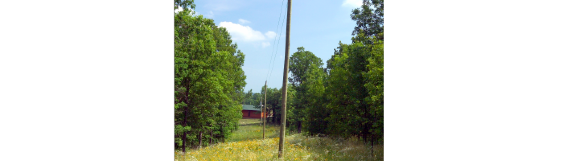 Right of Way