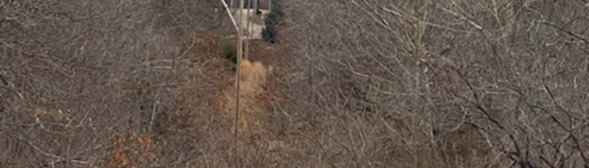 A cleared 30-ft right of way
